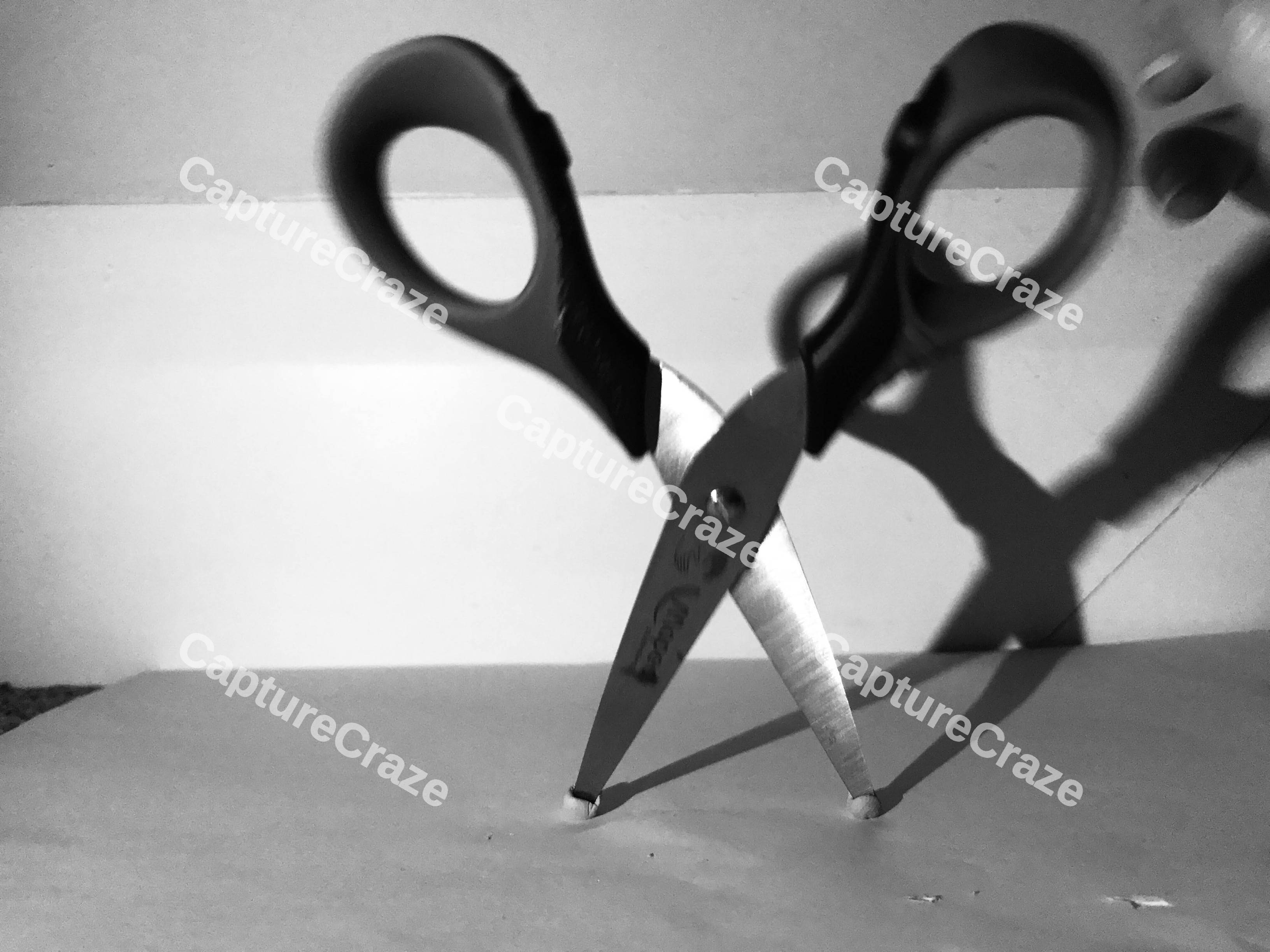 Black And White Pair Of Scissors
